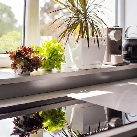 Peaceful Business Space Apartment