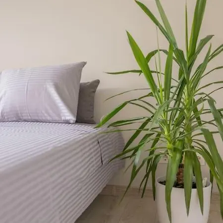 Apartment Peaceful Business Space *