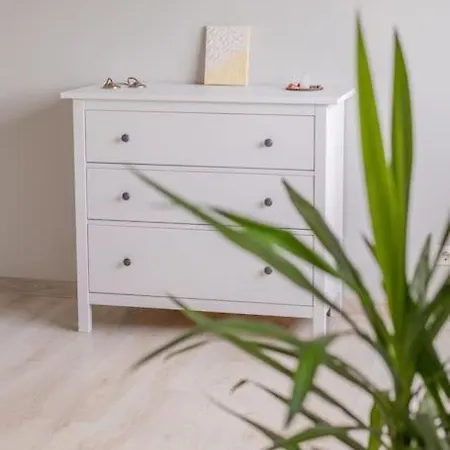 Peaceful Business Space ريغا