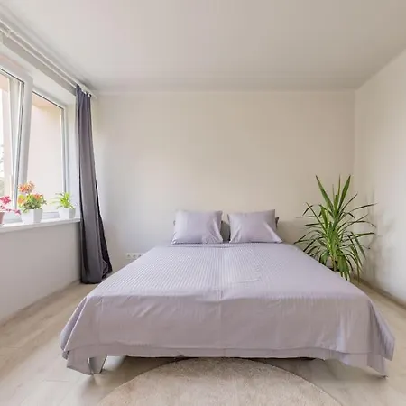 Peaceful Business Space *